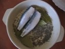 Recette Vido : gratin de sardines au paprika