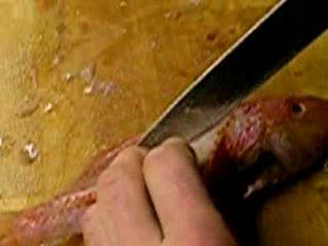 Recette Vido : comment lever des filets de rouget