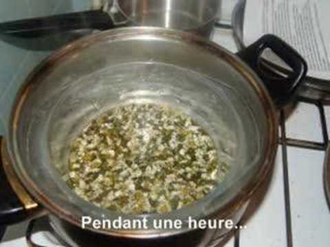 Recette Vido : huile de bellis